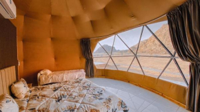 Bedouin oasis